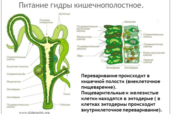 Кракен ссылка официальная в тор