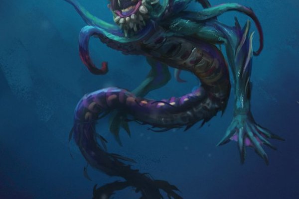Kraken 24 top